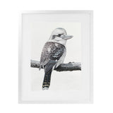 Shop Kookaburra On A Branch Art Print-Animals, Birds, Black, Grey, Portrait, Rectangle, View All-framed painted poster wall decor artwork