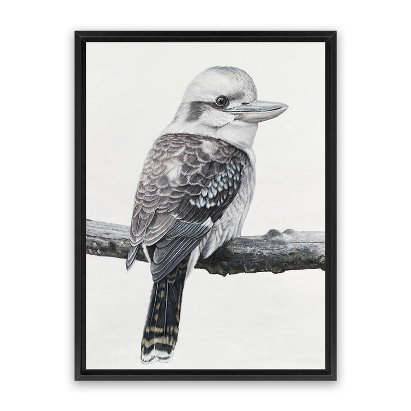 Shop Kookaburra On A Branch Canvas Art Print-Animals, Birds, Black, Grey, Portrait, Rectangle, View All-framed wall decor artwork