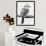 Shop Kookaburra On A Branch Canvas Art Print-Animals, Birds, Black, Grey, Portrait, Rectangle, View All-framed wall decor artwork