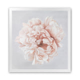 Shop Pastel Peony (Square) Art Print-Botanicals, Florals, Pink, Square, View All-framed painted poster wall decor artwork