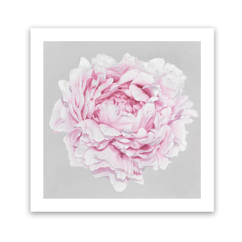 Shop Pink Peony II (Square) Art Print-Botanicals, Florals, Grey, Pink, Square, View All-framed painted poster wall decor artwork