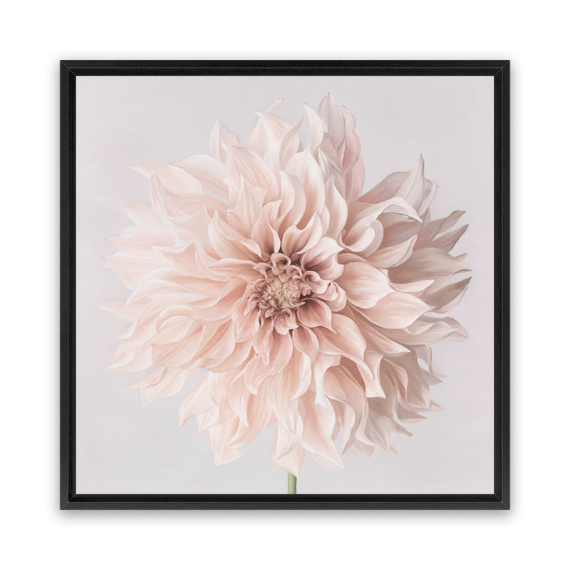 Shop Pastel Peach Dahlia Flower (Square) Canvas Art Print-Botanicals, Florals, Neutrals, Pink, Square, View All-framed wall decor artwork