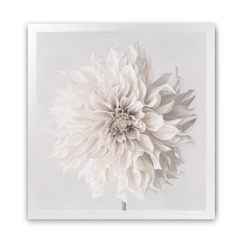 Shop Cream White Dahlia Flower (Square) Art Print-Botanicals, Florals, Square, View All, White-framed painted poster wall decor artwork