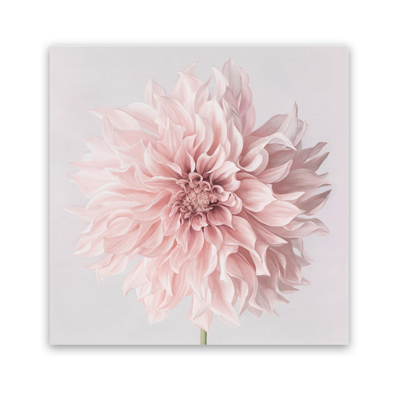 Shop Pastel Pink Dahlia Flower (Square) Art Print-Botanicals, Florals, Pink, Square, View All-framed painted poster wall decor artwork
