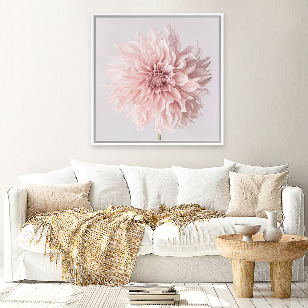 Buy Pastel Pink Dahlia Flower Square Canvas Wall Art Print | The