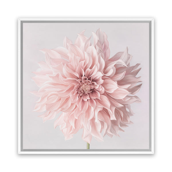 Shop Pastel Pink Dahlia Flower (Square) Canvas Art Print-Botanicals, Florals, Pink, Square, View All-framed wall decor artwork
