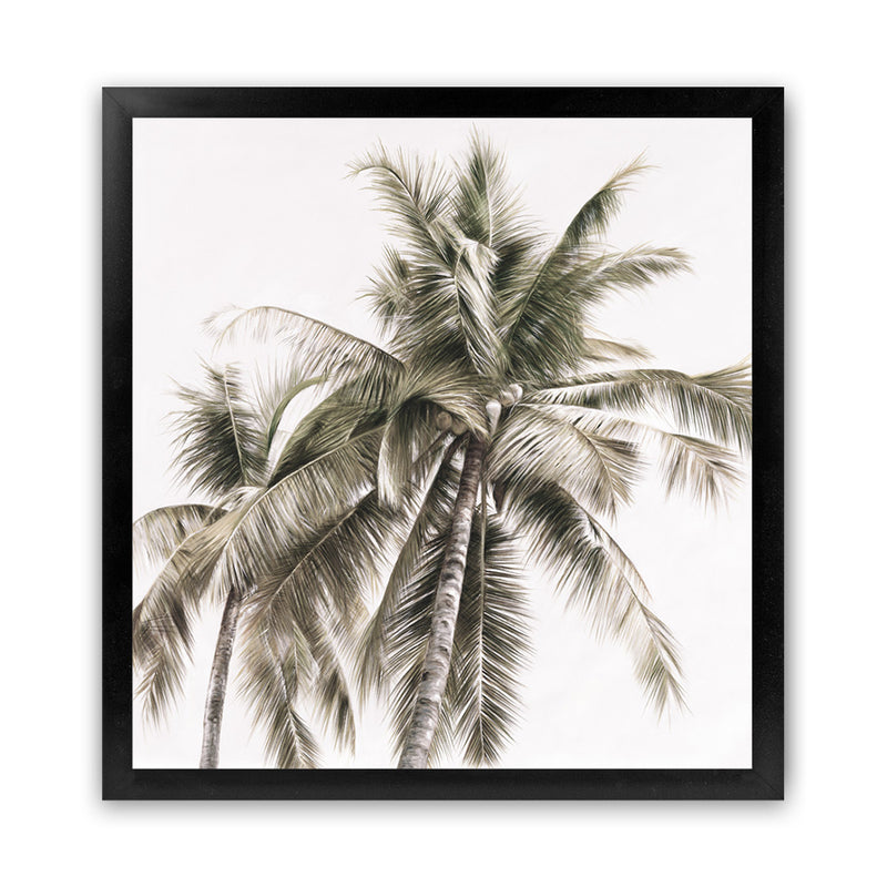 Shop Summer Palms Light I (Square) Art Print-Coastal, Green, Square, Tropical, View All-framed painted poster wall decor artwork