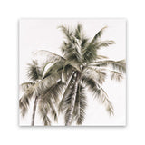 Shop Summer Palms Light I (Square) Canvas Art Print-Coastal, Green, Square, Tropical, View All-framed wall decor artwork
