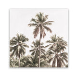 Shop Summer Palms Light II (Square) Art Print-Brown, Coastal, Green, Square, Tropical, View All-framed painted poster wall decor artwork