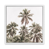 Shop Summer Palms Light II (Square) Canvas Art Print-Brown, Coastal, Green, Square, Tropical, View All-framed wall decor artwork