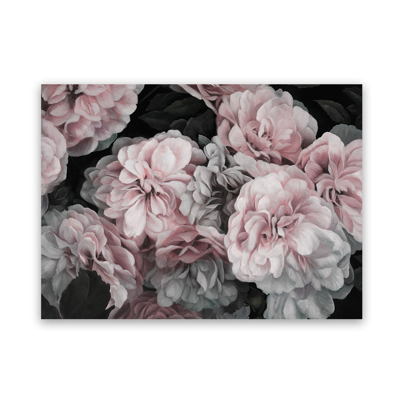 Shop Pink Blooms II Canvas Art Print-Black, Botanicals, Florals, Horizontal, Landscape, Pink, Rectangle, View All-framed wall decor artwork
