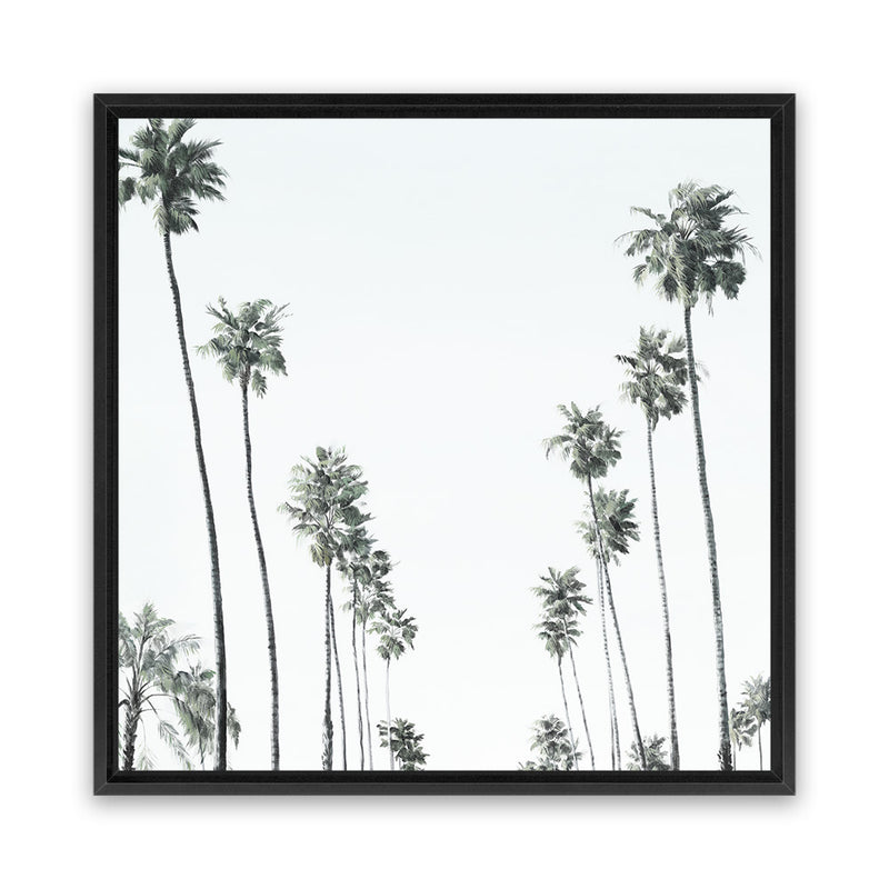 Shop California Palms II (Square) Canvas Art Print-Coastal, Green, Square, Tropical, View All, White-framed wall decor artwork