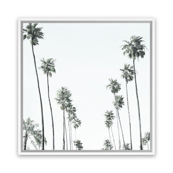 Shop California Palms II (Square) Canvas Art Print-Coastal, Green, Square, Tropical, View All, White-framed wall decor artwork