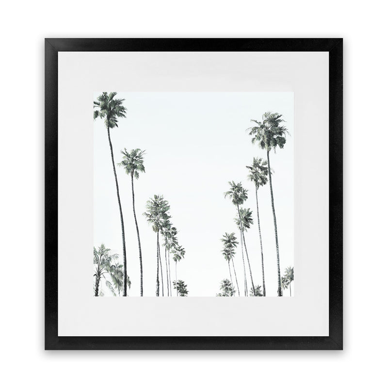 Shop California Palms II (Square) Art Print-Botanicals, Coastal, Green, Square, Tropical, View All, White-framed painted poster wall decor artwork