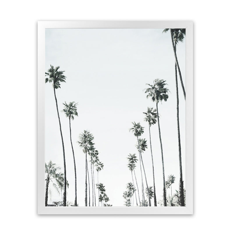 Shop California Palms II Art Print-Botanicals, Coastal, Green, Portrait, Tropical, View All, White-framed painted poster wall decor artwork