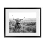 Shop Highland Cow B&W Photo Art Print-Animals, Black, Grey, Horizontal, Landscape, Photography, Rectangle, View All, White-framed poster wall decor artwork