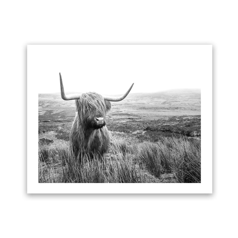 Shop Highland Cow B&W Photo Art Print-Animals, Black, Grey, Horizontal, Landscape, Photography, Rectangle, View All, White-framed poster wall decor artwork