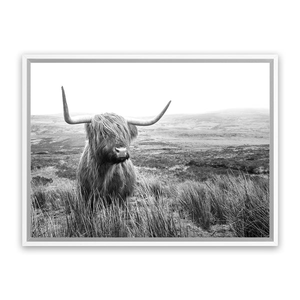 Shop Highland Cow B&W Photo Canvas Art Print-Animals, Black, Grey, Horizontal, Landscape, Photography, Photography Canvas Prints, Rectangle, View All, White-framed wall decor artwork