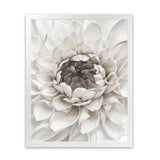 Shop Divine Dahlia III Art Print-Botanicals, Florals, Hamptons, Portrait, View All, White-framed painted poster wall decor artwork