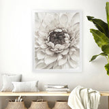 Shop Divine Dahlia III Art Print-Botanicals, Florals, Hamptons, Portrait, View All, White-framed painted poster wall decor artwork
