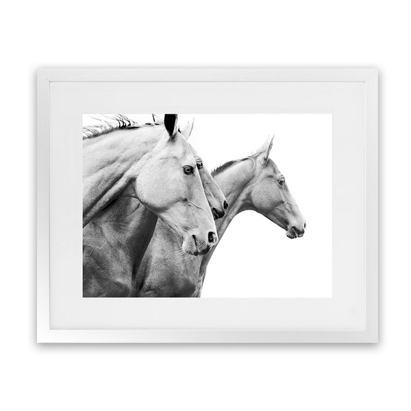 Shop Grey Horses Photo Art Print-Animals, Black, Grey, Landscape, Photography, Scandinavian, View All, White-framed poster wall decor artwork