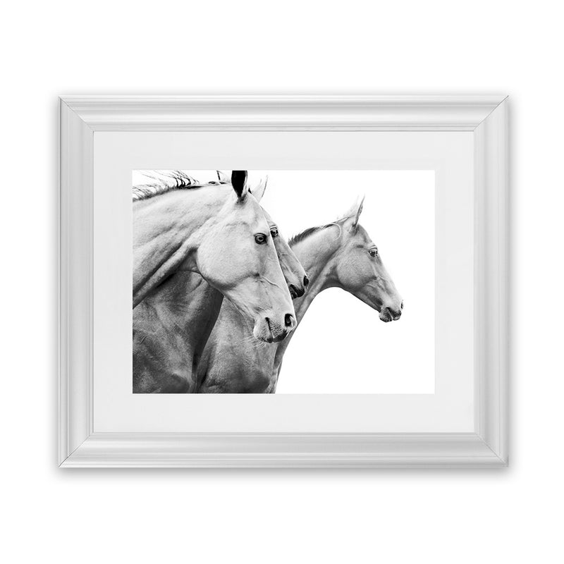 Shop Grey Horses Photo Art Print-Animals, Black, Grey, Landscape, Photography, Scandinavian, View All, White-framed poster wall decor artwork