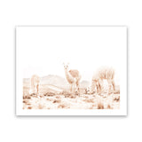 Shop Llamas Grazing Photo Art Print-Animals, Horizontal, Landscape, Neutrals, Photography, Rectangle, View All, White-framed poster wall decor artwork