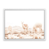 Shop Llamas Grazing Photo Canvas Art Print-Animals, Horizontal, Landscape, Neutrals, Photography, Photography Canvas Prints, Rectangle, View All, White-framed wall decor artwork