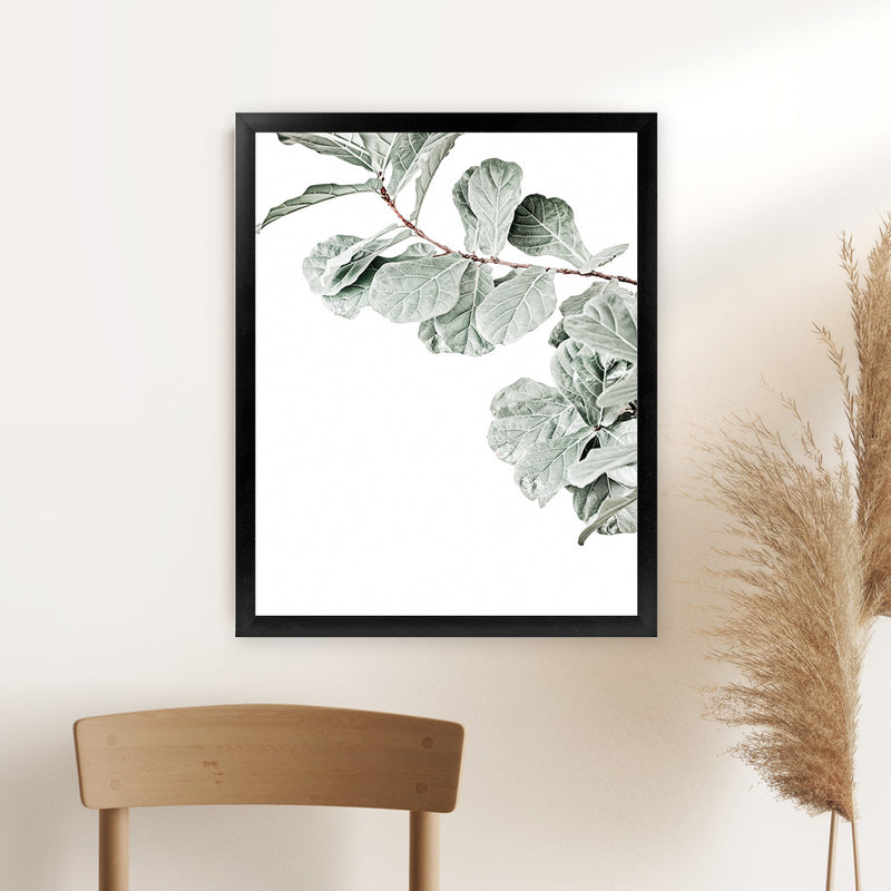 fiddle leaf fig print Buy Fiddle-Leaf Fig Photo Art Print