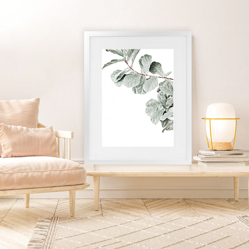 fiddle leaf fig print Buy Fiddle-Leaf Fig Photo Art Print