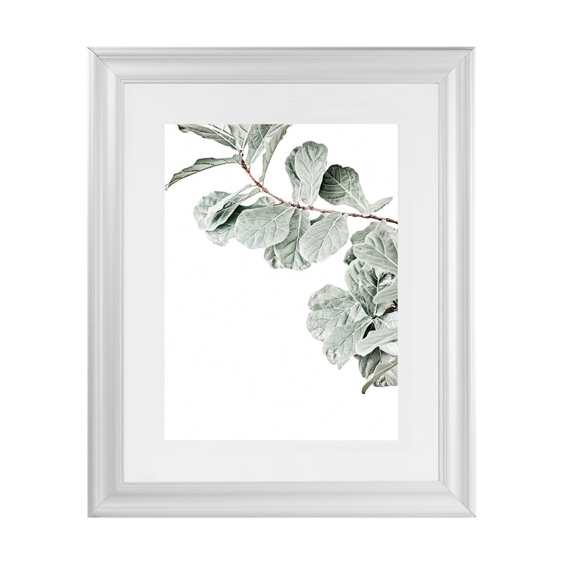 Shop Fiddle-Leaf Fig Photo Art Print-Botanicals, Green, Photography, Portrait, Rectangle, View All, White-framed poster wall decor artwork