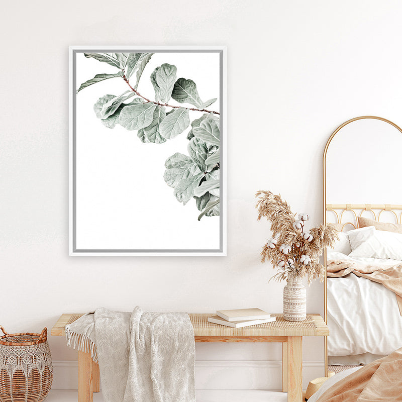 Shop Fiddle-Leaf Fig Photo Canvas Art Print-Botanicals, Green, Landscape, Photography, Photography Canvas Prints, Portrait, Rectangle, View All, White-framed wall decor artwork