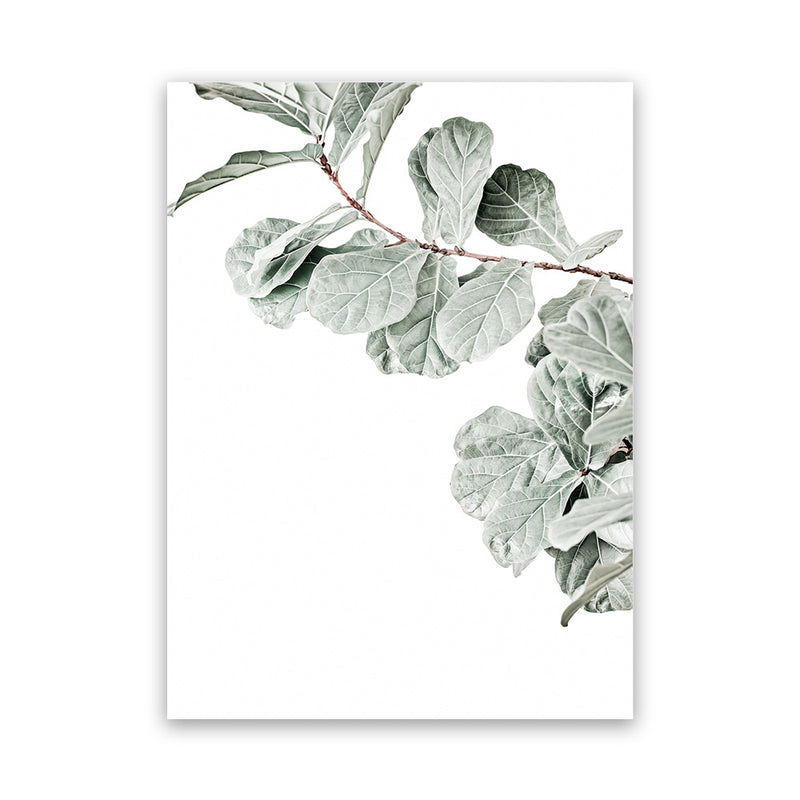 fiddle leaf fig illustration Buy Fiddle-Leaf Fig Photo Canvas Art Print