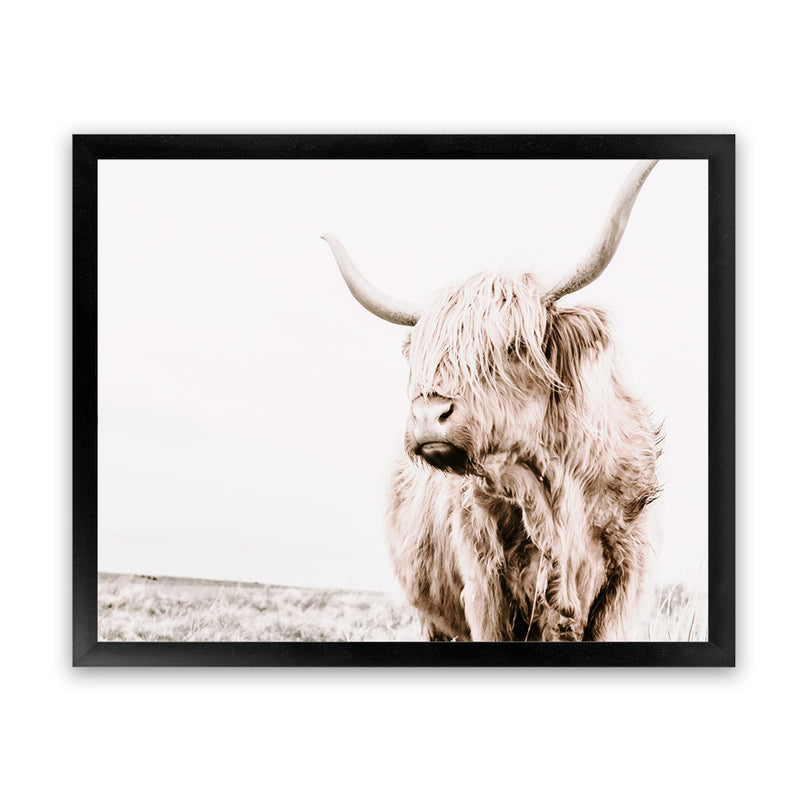 Shop Lone Highland Cow Photo Art Print-Animals, Horizontal, Landscape, Neutrals, Photography, Rectangle, View All-framed poster wall decor artwork