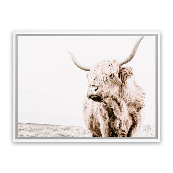 Shop Lone Highland Cow Photo Canvas Art Print-Animals, Horizontal, Landscape, Neutrals, Photography, Photography Canvas Prints, Rectangle, View All-framed wall decor artwork