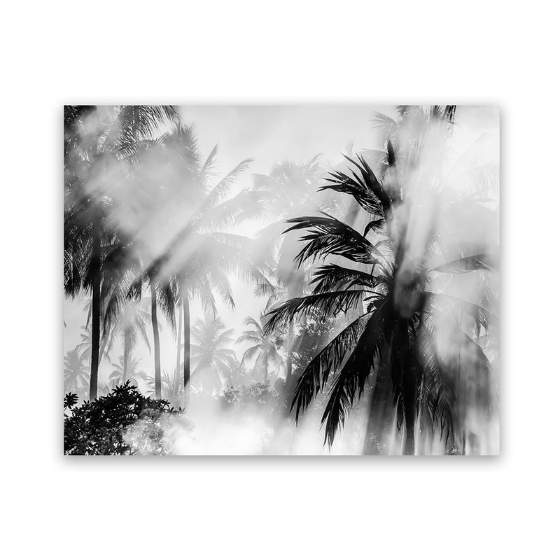 Shop Monochrome Palms Photo Art Print-Black, Coastal, Horizontal, Landscape, Photography, Rectangle, Tropical, View All-framed poster wall decor artwork