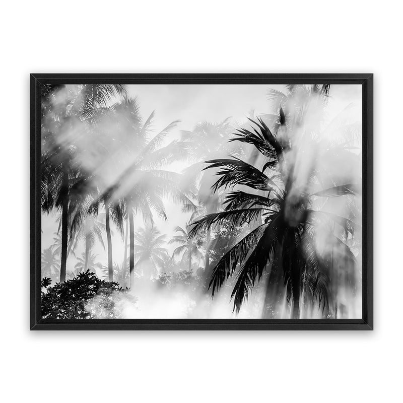 Shop Monochrome Palms Photo Canvas Art Print-Black, Coastal, Horizontal, Landscape, Photography, Photography Canvas Prints, Rectangle, Tropical, View All-framed wall decor artwork