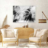 Shop Monochrome Palms Photo Canvas Art Print-Black, Coastal, Horizontal, Landscape, Photography, Photography Canvas Prints, Rectangle, Tropical, View All-framed wall decor artwork