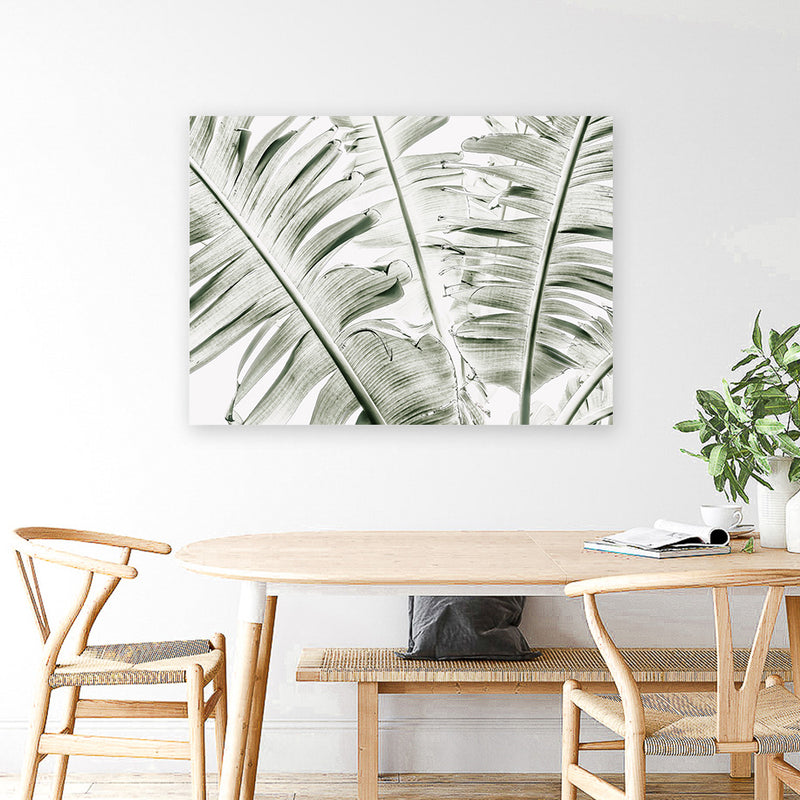 Shop Banana Palms Photo Canvas Art Print-Botanicals, Green, Horizontal, Landscape, Photography, Photography Canvas Prints, Rectangle, Tropical, View All-framed wall decor artwork