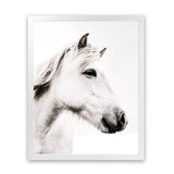 Shop Icelandic Horse Photo Art Print-Animals, Photography, Portrait, Rectangle, View All, White-framed poster wall decor artwork