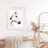 Shop Icelandic Horse Photo Art Print-Animals, Photography, Portrait, Rectangle, View All, White-framed poster wall decor artwork