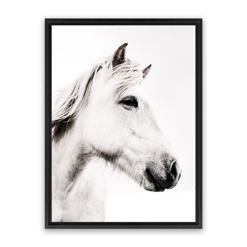 Shop Icelandic Horse Photo Canvas Art Print-Animals, Photography, Photography Canvas Prints, Portrait, Rectangle, View All, White-framed wall decor artwork