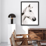 Shop Icelandic Horse Photo Canvas Art Print-Animals, Photography, Photography Canvas Prints, Portrait, Rectangle, View All, White-framed wall decor artwork