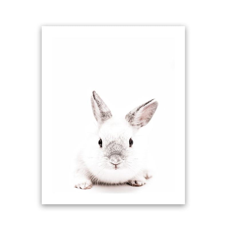 Shop White Bunny Photo Art Print-Animals, Baby Nursery, Photography, Portrait, Rectangle, View All, White-framed poster wall decor artwork