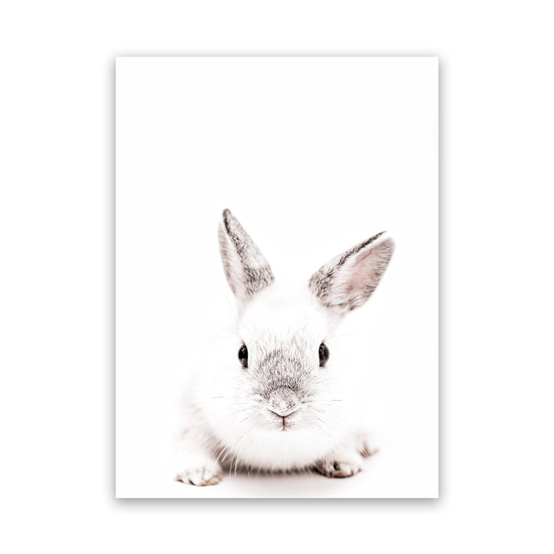 Shop White Bunny Photo Canvas Art Print-Animals, Baby Nursery, Photography, Photography Canvas Prints, Portrait, Rectangle, View All, White-framed wall decor artwork