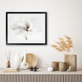 Shop White Magnolia Flower Photo Art Print-Botanicals, Florals, Horizontal, Landscape, Photography, Rectangle, View All, White-framed poster wall decor artwork