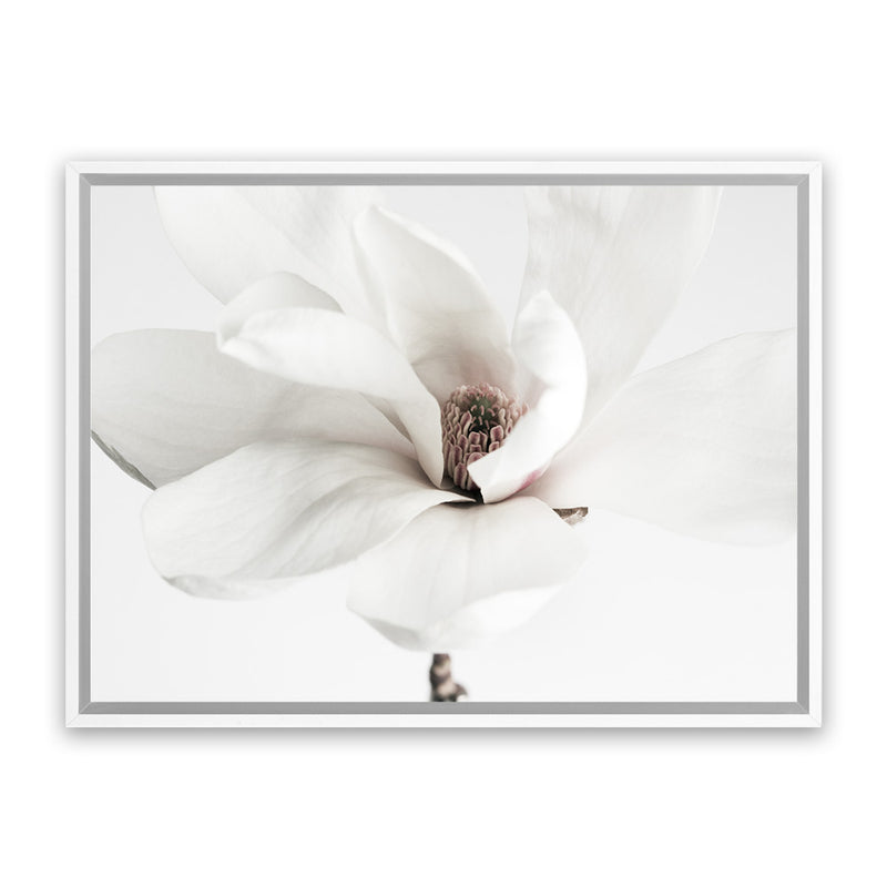 Shop White Magnolia Flower Photo Canvas Art Print-Botanicals, Florals, Horizontal, Landscape, Photography, Photography Canvas Prints, Rectangle, View All, White-framed wall decor artwork