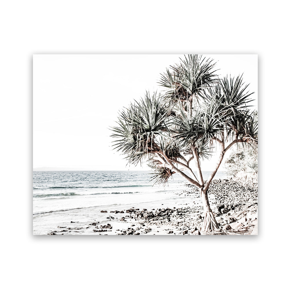 photo print フォトプリント「Noosa #2」 Buy Noosa I Photo Art Print | The Print Emporium®