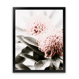 Shop Waratah Flowers II Photo Art Print-Botanicals, Florals, Hamptons, Nature, Photography, Pink, Portrait, View All-framed poster wall decor artwork