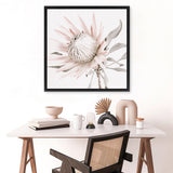 Shop King Protea II (Square) Photo Canvas Art Print-Florals, Hamptons, Photography Canvas Prints, Pink, Square, View All-framed wall decor artwork